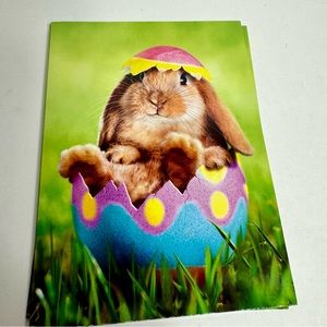 4 Avanti Greeting cards - bunny in Easter egg
Holiday: Easter